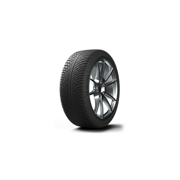 295/40 R20 110V MICHELIN PILOT ALPIN 5 SUV Téli Gumi
