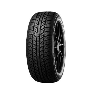 205/50 R16 87H EVERGREEN EW62 TÉLI GUMI