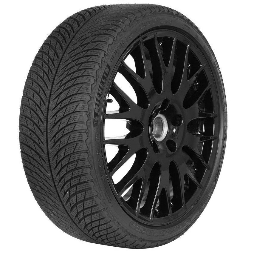 295/35R21 107V MICHELIN PILOTALPIN5 SUV TÉLI GUMI